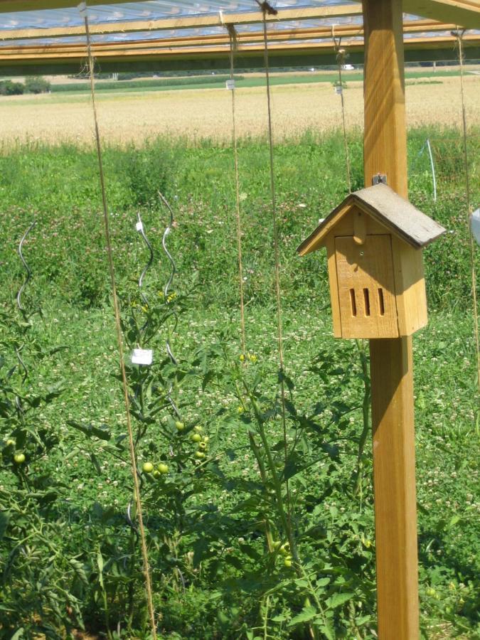 Apartment & Zimmer Familie Trescher Tübingen Eksteriør billede
